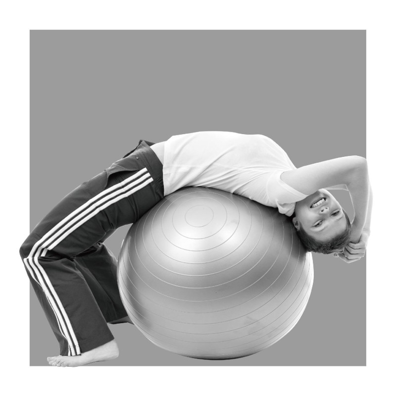 STABILITY BALL CUSHION