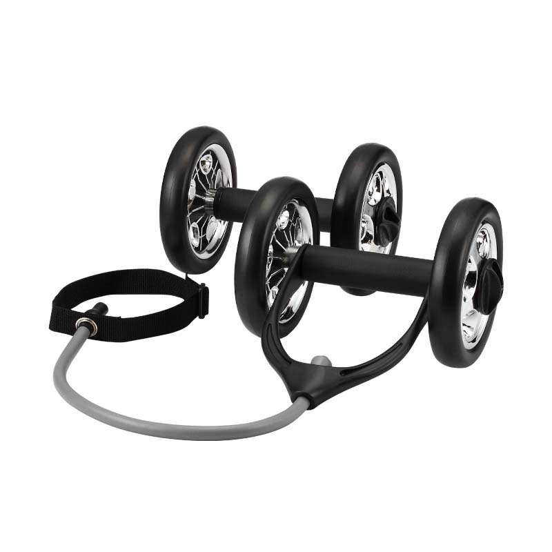 Multi-Functional Exercise Wheel